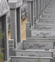 芜湖祖坟墓地出现这种现象，大事不妙，千万要注意了！