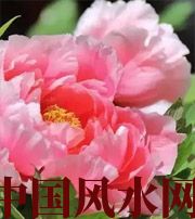 芜湖预示你财运上升，姻缘可成的梦境，快来看看吧！