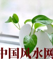 芜湖家中摆放六种吉祥物，会打开您的财运大门！